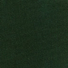 Sunrise Water Resistant Canvas Fabric Hunter Green, by the yard