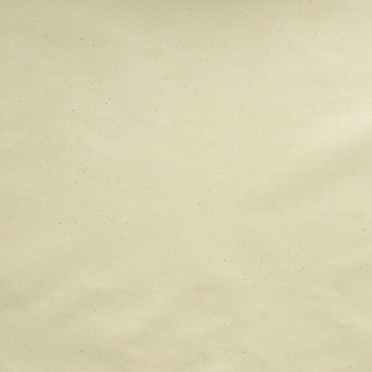 46" Unbleached Muslin Fabric 50 yard bolt - Image 2