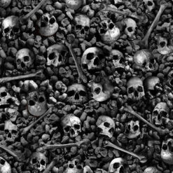 Timeless Treasures Fabric Skulls & Bones Wicked CD2767 Ash 15 yard bolt