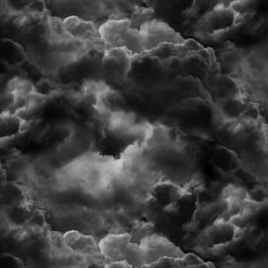 Timeless Treasures Fabric Dark Clouds Sky Wicked CD2769 Cloud 15 yard bolt