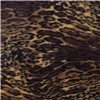 Jungle Cat Amber Printed Fleece Fabric Flat 2