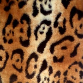 Wholesale Minky Animal Fabric Jaguar 20 yard bolt