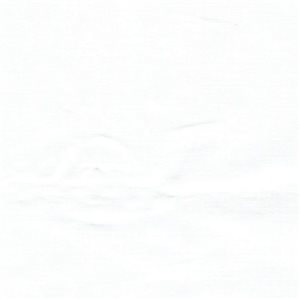 Wholesale Organic Cotton Batiste Fabric White 25 yard bolt